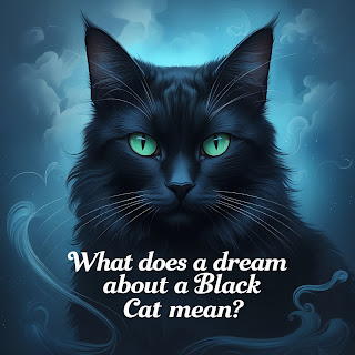 Spiritual Meaning Seeing A Black Cat In A Dream