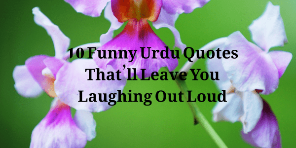 10 Funny Urdu Quotes