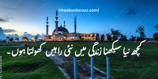 30 Best Aqwal e Zareen in Urdu for Students