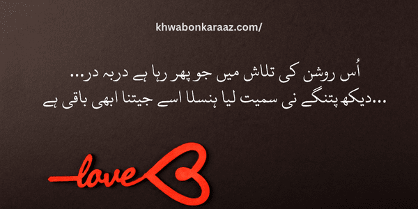 40+ Best Dream Quotes in Urdu