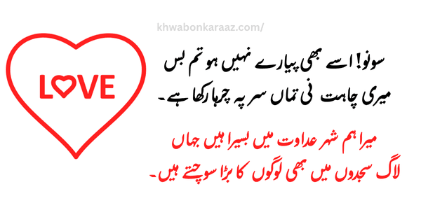 40+ Best Dream Quotes in Urdu