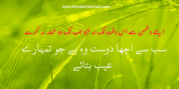 Hazrat Ali Quotes in Urdu