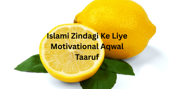 Islami Zindagi Ke Liye Motivational Aqwal
Taaruf