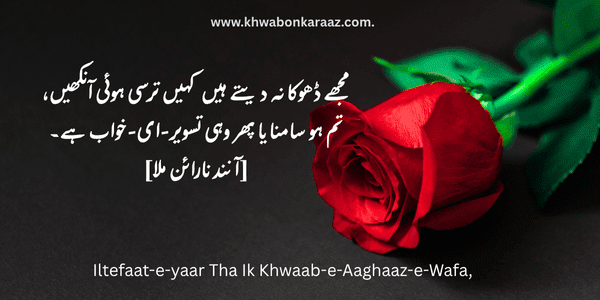 40+ Best Dream Quotes in Urdu