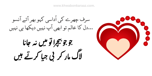 Top Best Love Urdu Poetry
