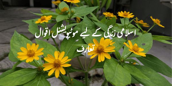 اسلامی زندگی کے لیے موٹیویشنل اقوال تعارف