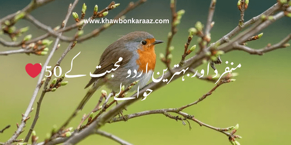 50 unique and best Urdu love quotes