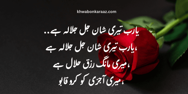 Top Best Islamic Quotes in Urdu Text