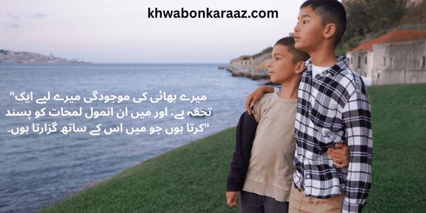 Brother Quotes in Urdu 