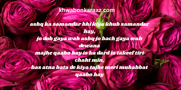 love urdu quote