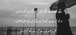 Short poetry inspiration In Urdu Lines