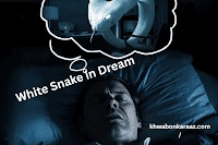 White Snake in Dream