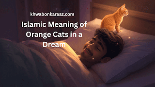 Islamic Meaning of Orange Cats in a Dream