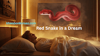Dream Red Snake Meaning