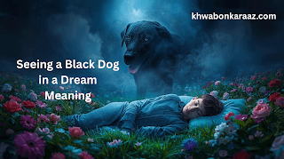 Seeing a Black Dog in a Dream Meaning