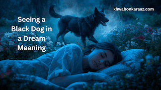 Seeing a Black Dog in a Dream Meaning