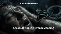 Snakes Biting in a Dream Meaning