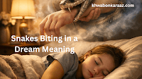 Snakes Biting in a Dream Meaning 