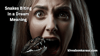Snakes Biting in a Dream Meaning