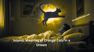 Islamic Meaning of Orange Cats in a Dream