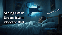 Islamic Meaning of Orange Cats in a Dream