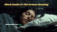 Black Snake IN The Dream Meaning