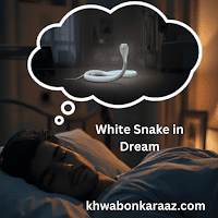 White Snake in Dream