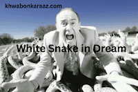 White Snake in Dream