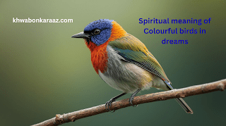 Spiritual meaning of Colourful birds in dreams