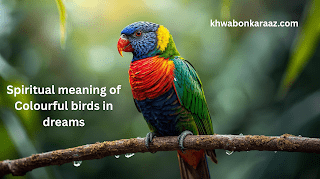 Spiritual meaning of Colourful birds in dreams
