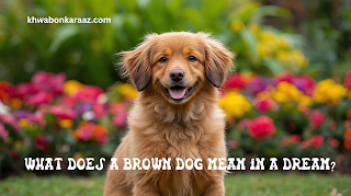 What does a brown dog mean in a dream?