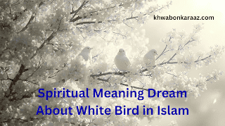 Spiritual Meaning Dream About White Bird in Islam