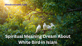 Spiritual Meaning Dream About White Bird in Islam