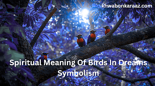 Spiritual Meaning Of Birds In Dreams Symbolism
