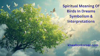 Spiritual Meaning Of Birds In Dreams Symbolism