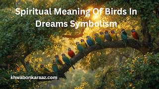 Spiritual Meaning Of Birds In Dreams Symbolism