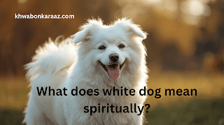 What does white dog mean spiritually?