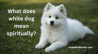 What does white dog mean spiritually?