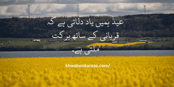 20 Eid ul adha quotes in urdu
