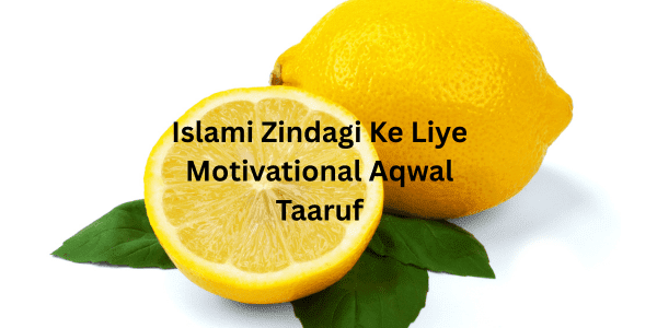 Islami Zindagi Ke Liye Motivational Aqwal
Taaruf
