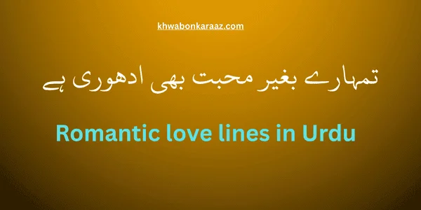 Top 25 Romantic Love Lines in Urdu