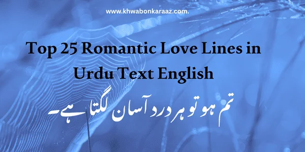 Top 25 Romantic Love Lines in Urdu