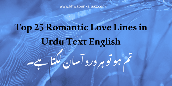 Top 25 Romantic Love Lines in Urdu