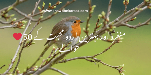50 unique and best Urdu love quotes