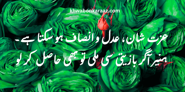 Best Hazrat Ali Quotes in Urdu 2026