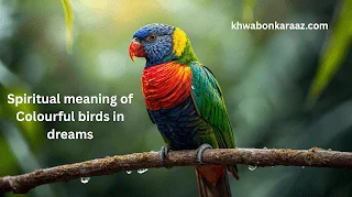 Spiritual meaning of Colourful birds in dreams